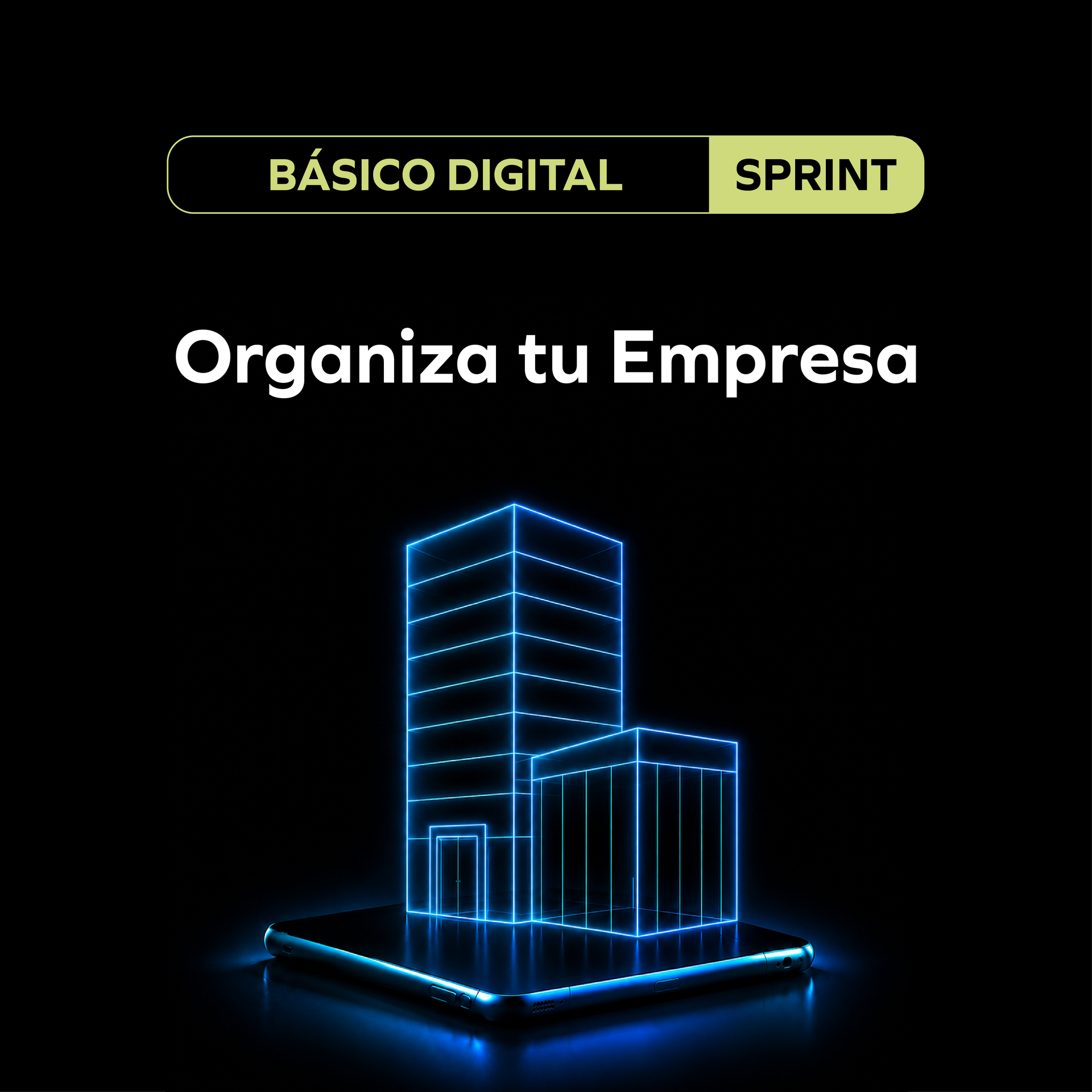 Organiza tu Empresa