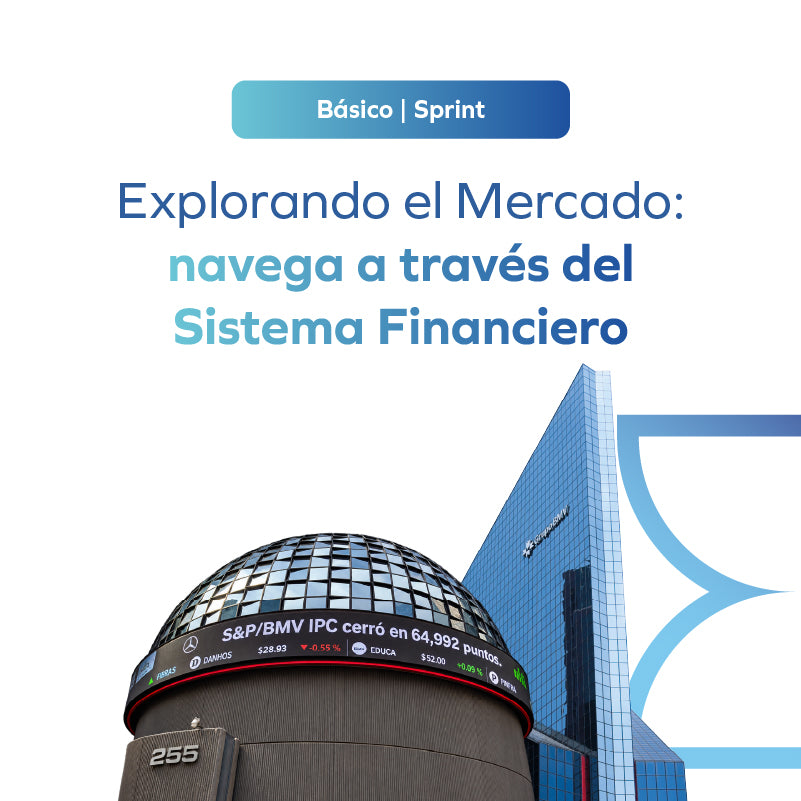 Explorando el Mercado: navega a través del Sistema Financiero